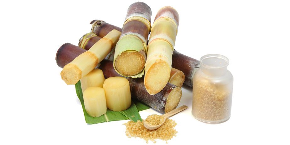 pinette pei sugar cane industry